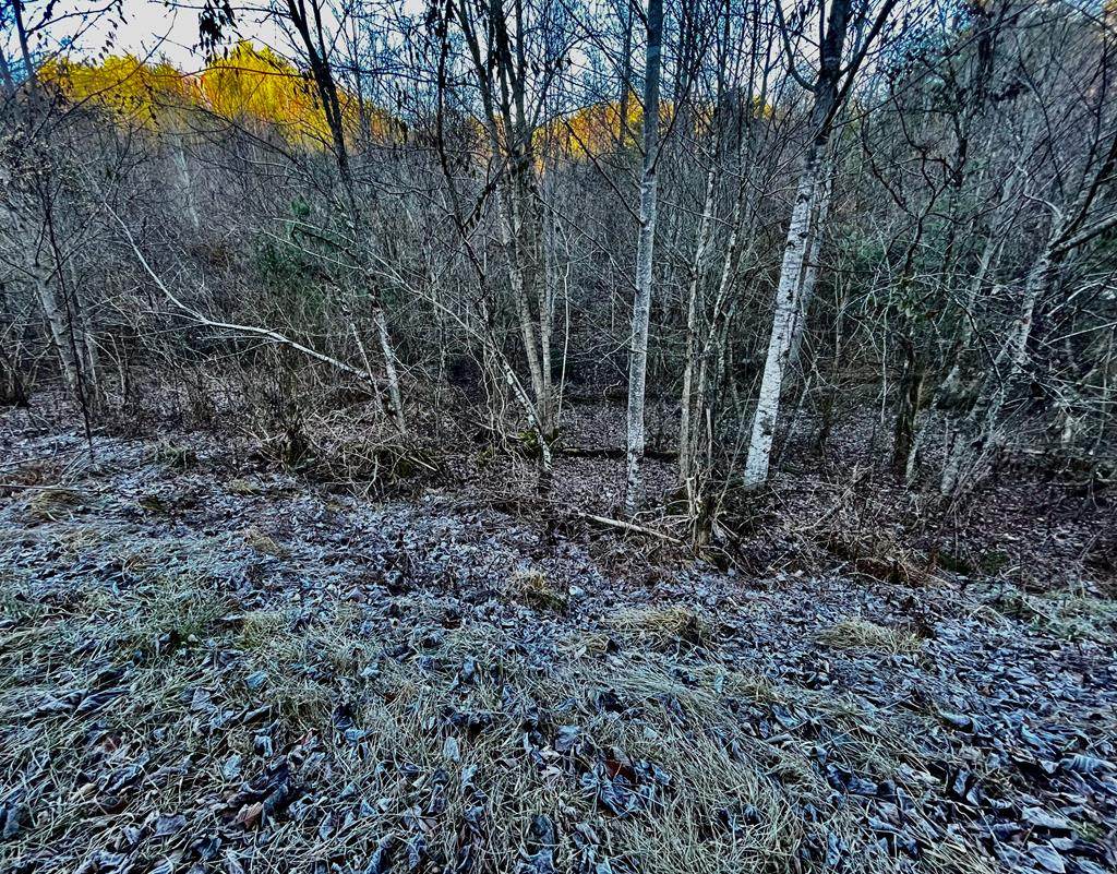 2 Cane Creek Mountain - Photo 1