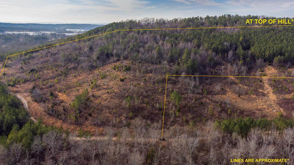 58.66 acres Cuno Lane - Photo 1