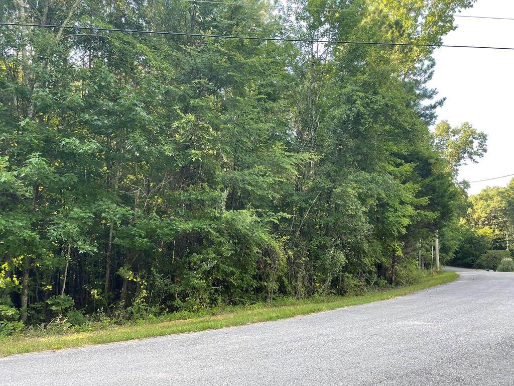 Lot 23 Dogwood Circle - Photo 1