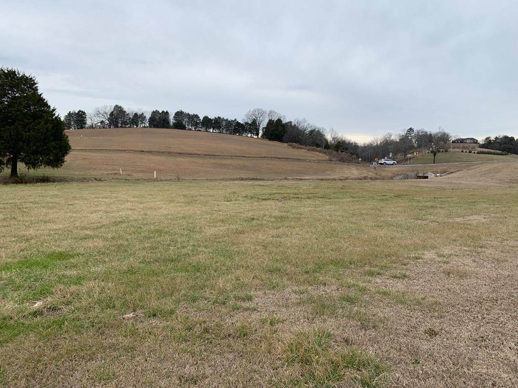 0 Old Washington Highway - Photo 1