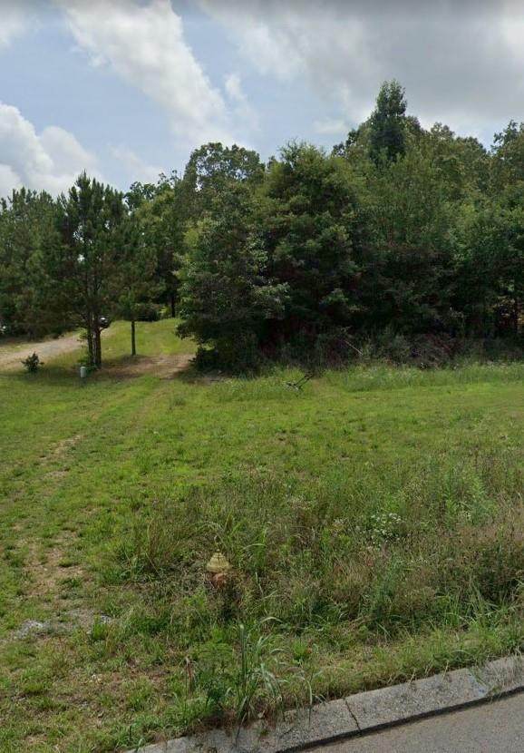 Lot 33 William Way Se - Photo 1