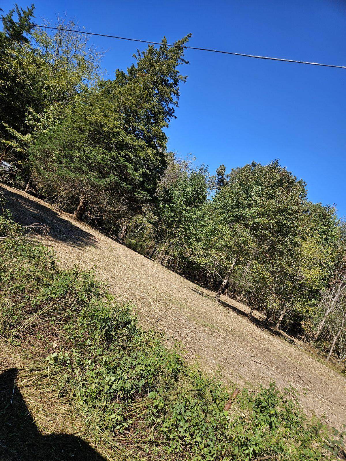 0 Sugar Tree Trail - Photo 1