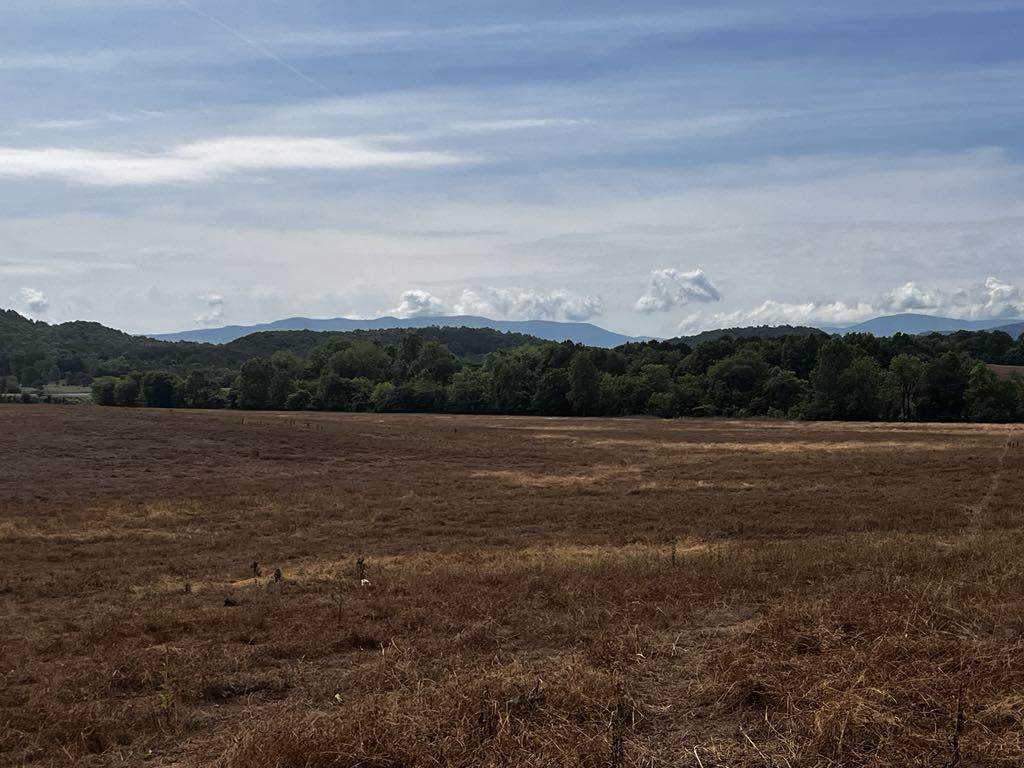 10 Acres Highway 411 - Photo 1