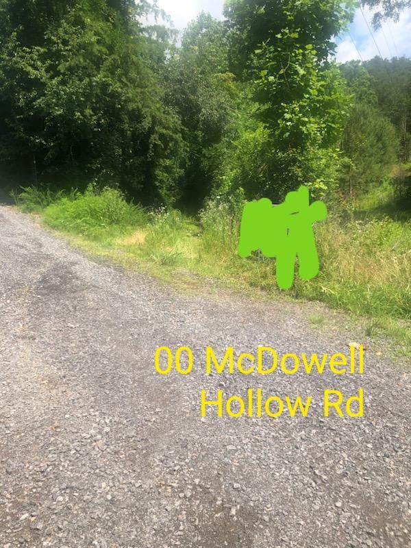 00 Mcdowell Hollow Road - Photo 1