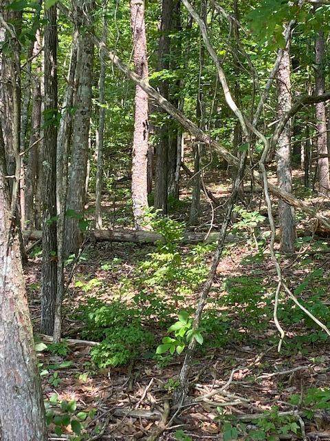 https://bt-photos.global.ssl.fastly.net/rivercounties/orig_boomver_1_20252636-2.jpg