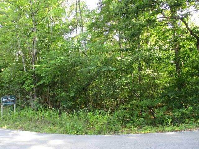 Lot 12 Red Cloud Road - Photo 1