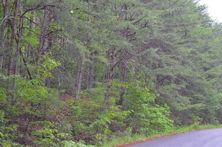 https://bt-photos.global.ssl.fastly.net/rivercounties/orig_boomver_1_20255423-2.jpg