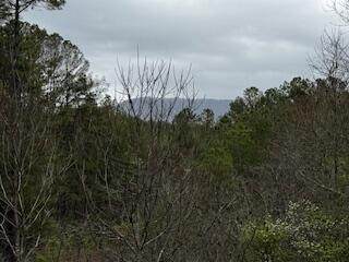 851 Stansbury Mountain Road - Photo 1