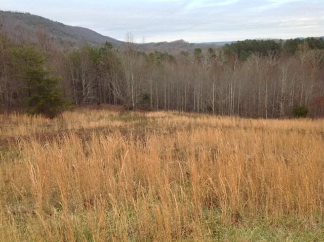 31 Escape Drive - Photo 1
