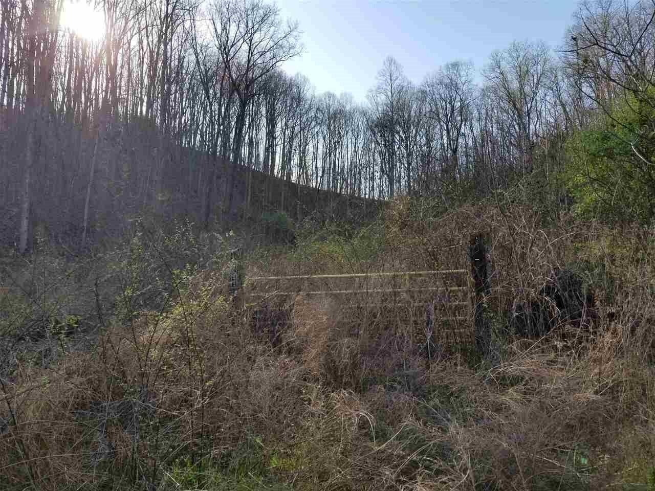 791 Bill Miller Road - Photo 1
