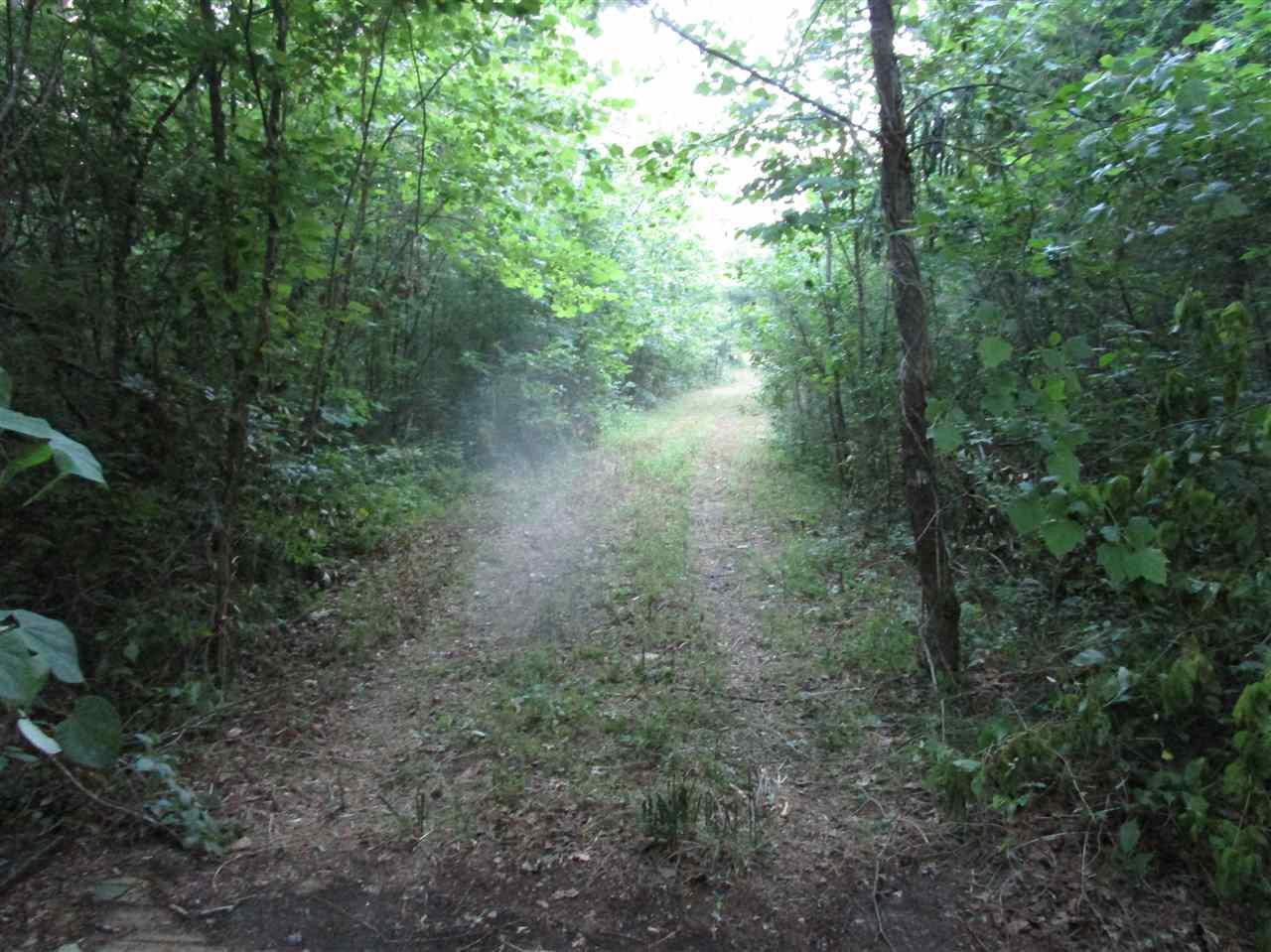 Volunteer Lane - Photo 1