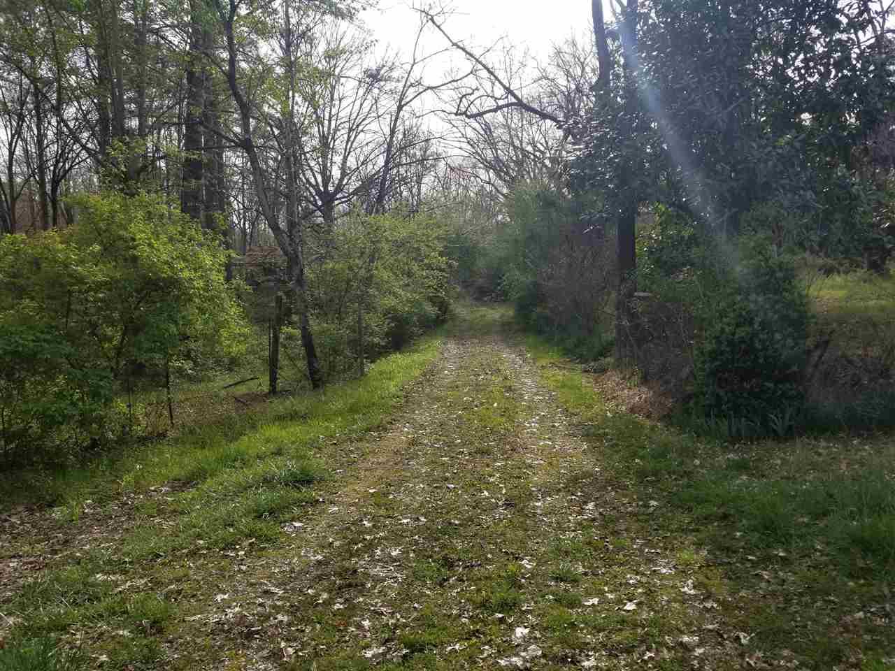 2090 Old Alabama Road - Photo 1
