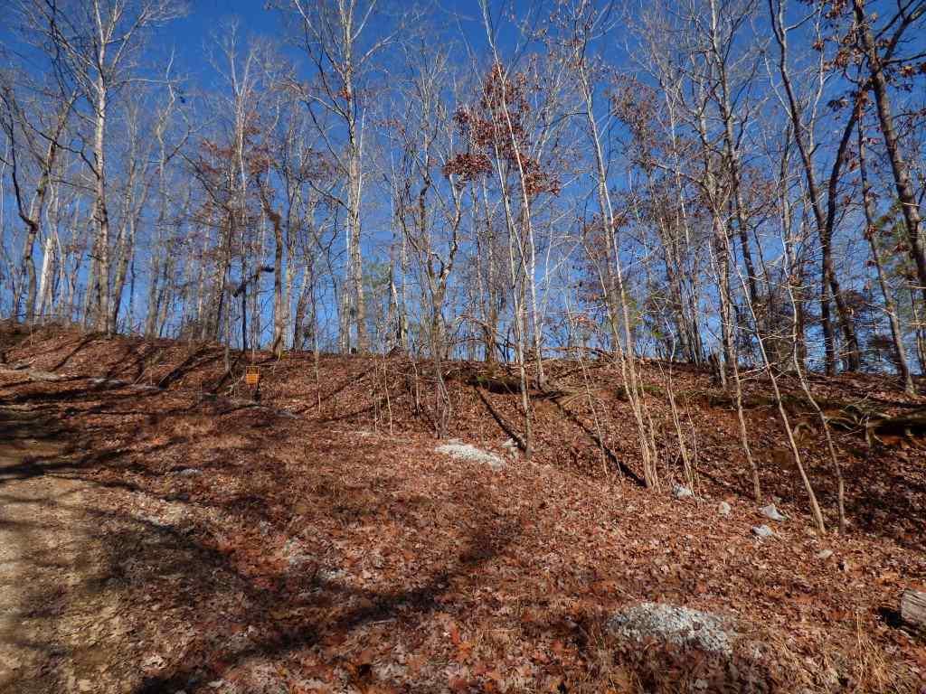 lot 492 & 493 Rockview Drive - Photo 1