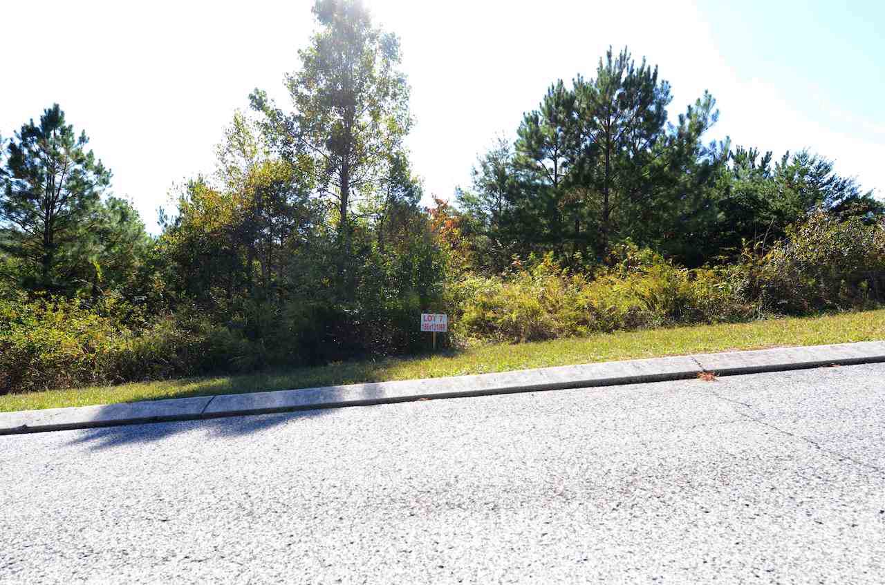 lot 7 Millstone Dr - Photo 1