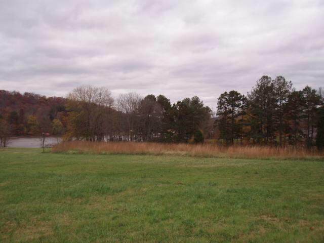 Lot 3 South No Pone Road - Photo 1