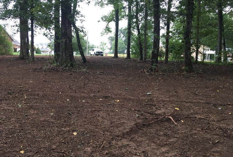 lot 29 Mountain View Road - Photo 1