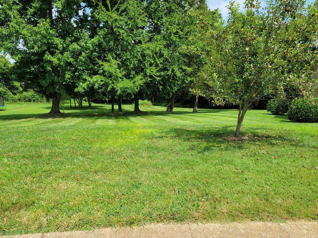00 Lot #40 Mill Creek Trail Ne - Photo 1