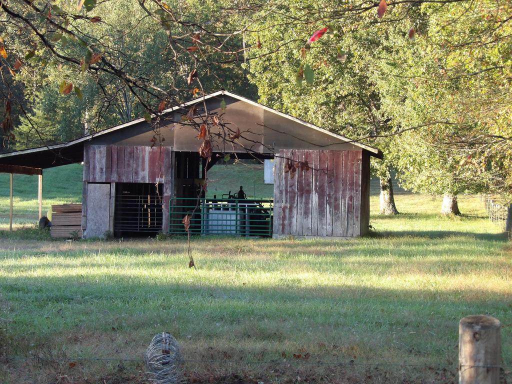 6100 Wassom Memorial Highway - Photo 1