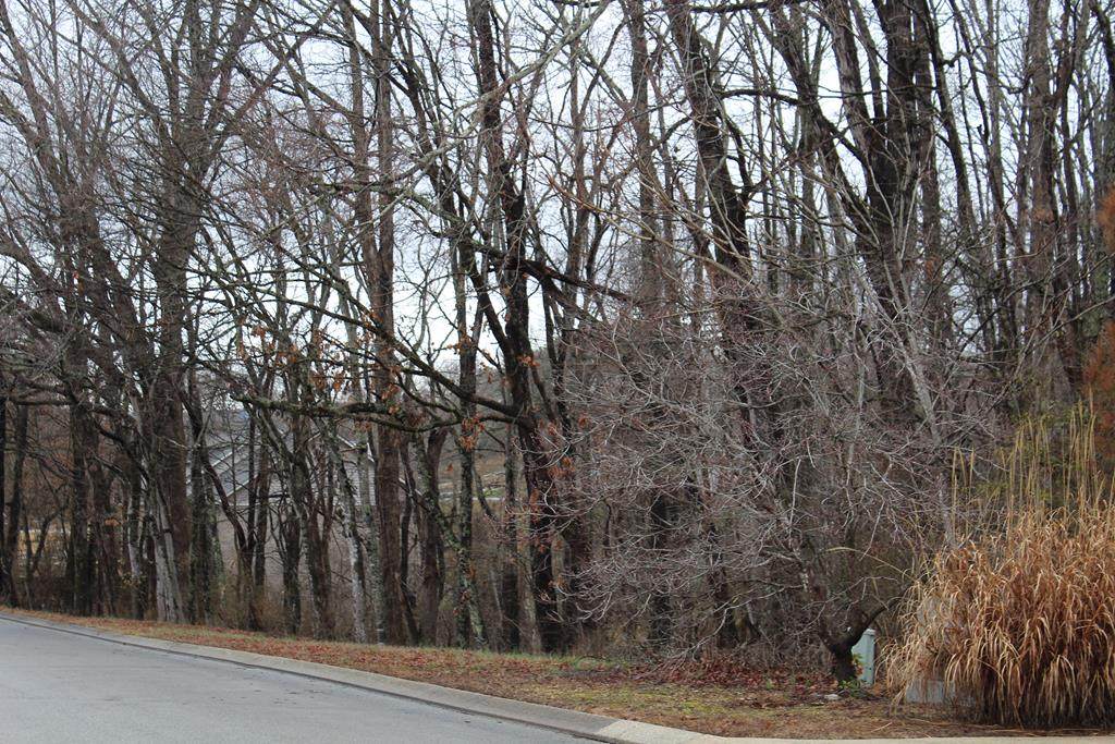 Lot 39 Bellbrook Drive - Photo 1