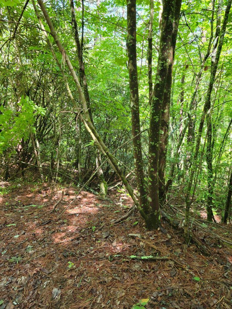 Lot 34 Belaire Drive - Photo 1