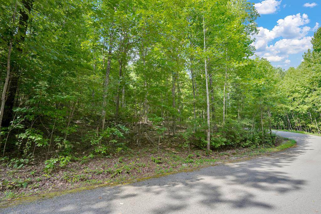 0 Scenic Drive - Photo 1