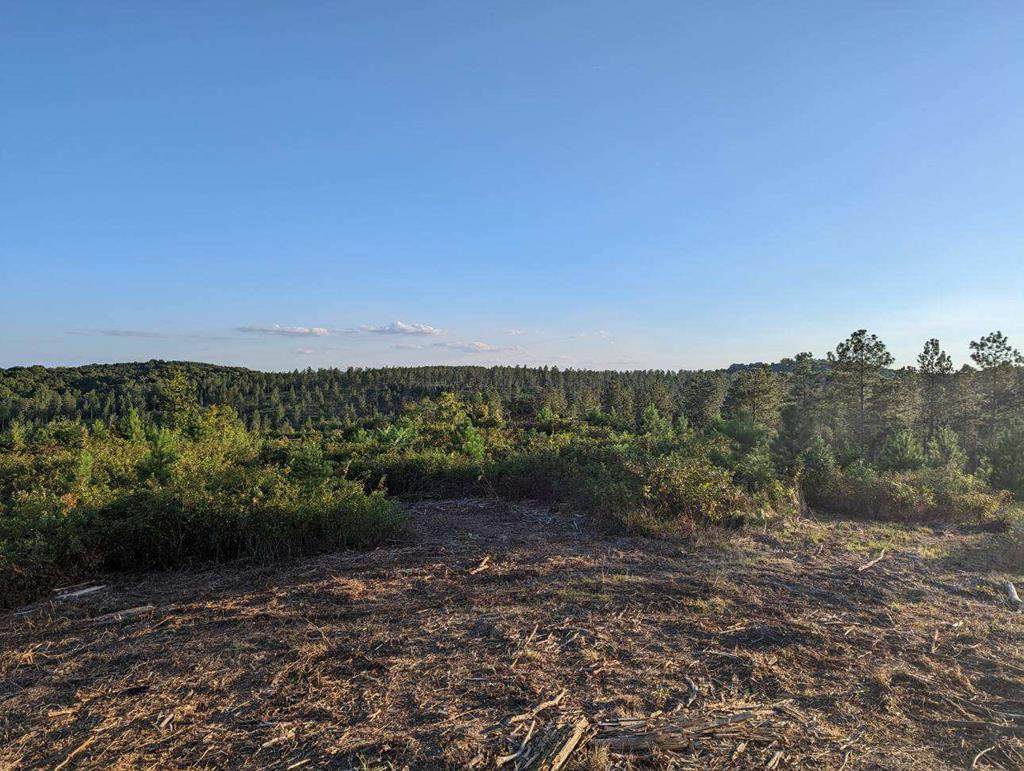 440 Prigmore Ridge Road - Photo 1