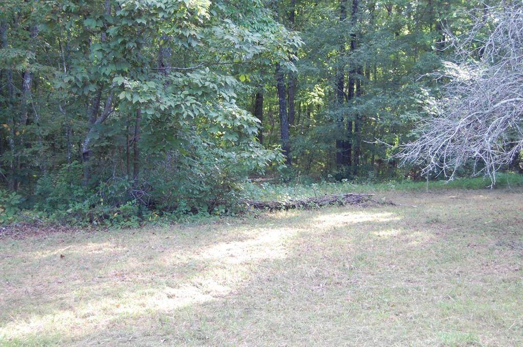 Lot 3 Howard Road - Photo 1