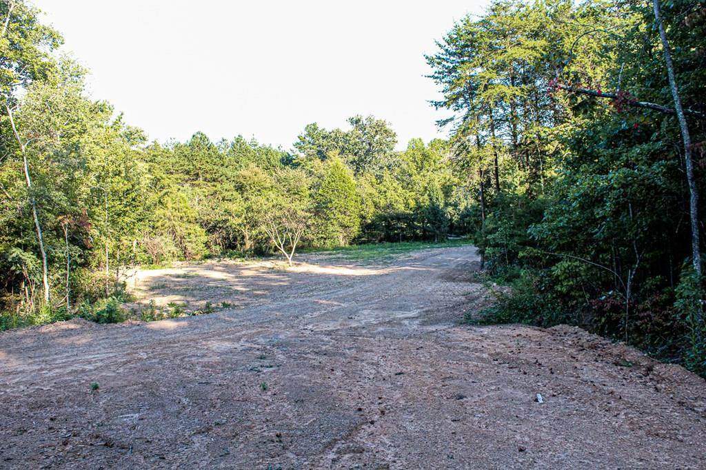 522 Ferguson Road - Photo 1