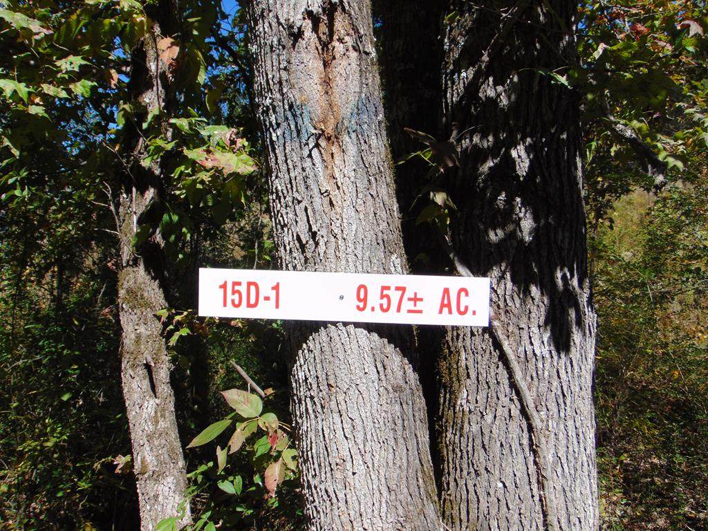 Tract 15D-1 Cameron Road - Photo 1