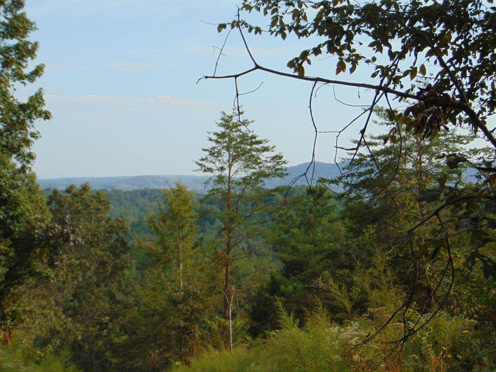 Tract 15D-5 Cameron Road - Photo 1