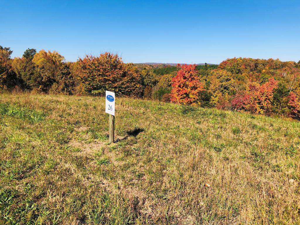 535 Hidden Forest Trail - Photo 1