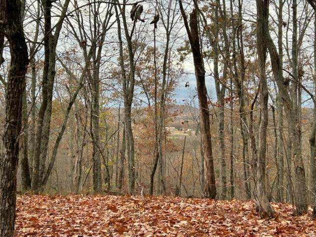 Lot 12 County Road 179 - Photo 1