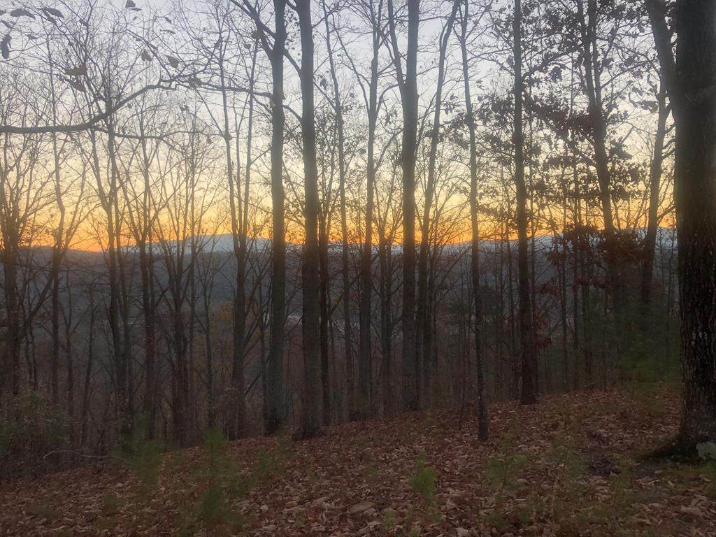 105 Rocky Top Drive - Photo 1