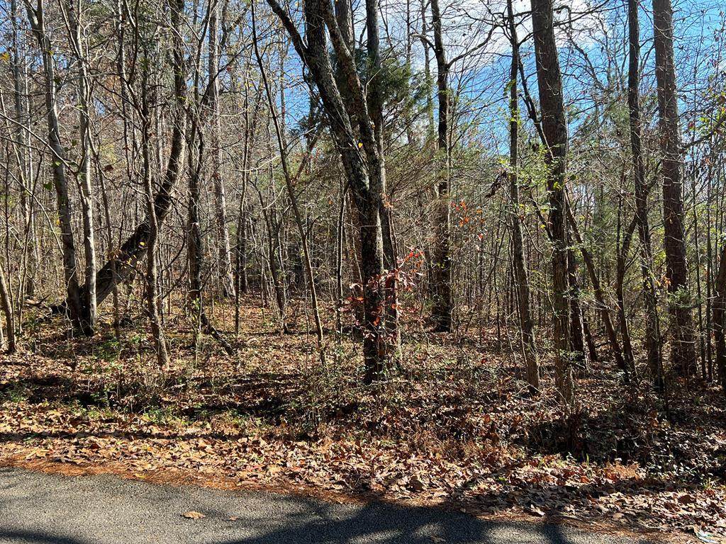 TBD Rocky Springs Road - Photo 1