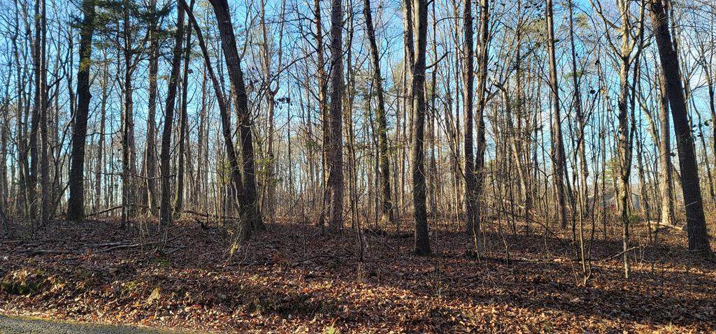 Lot 9 Mountain View Road - Photo 1