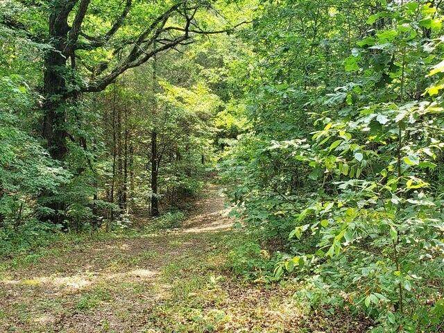 169 County Road 188 - Photo 1