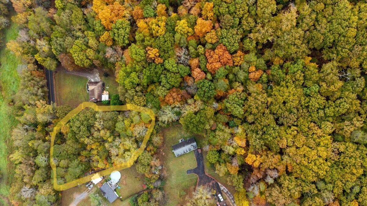 Lot 6 Candies Creek Ridge Road - Photo 1