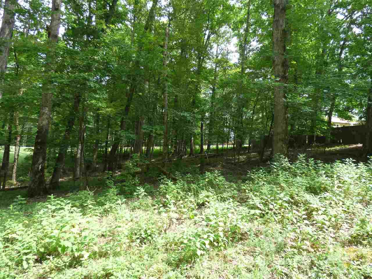 Lots 317-319 Watts Drive - Photo 1