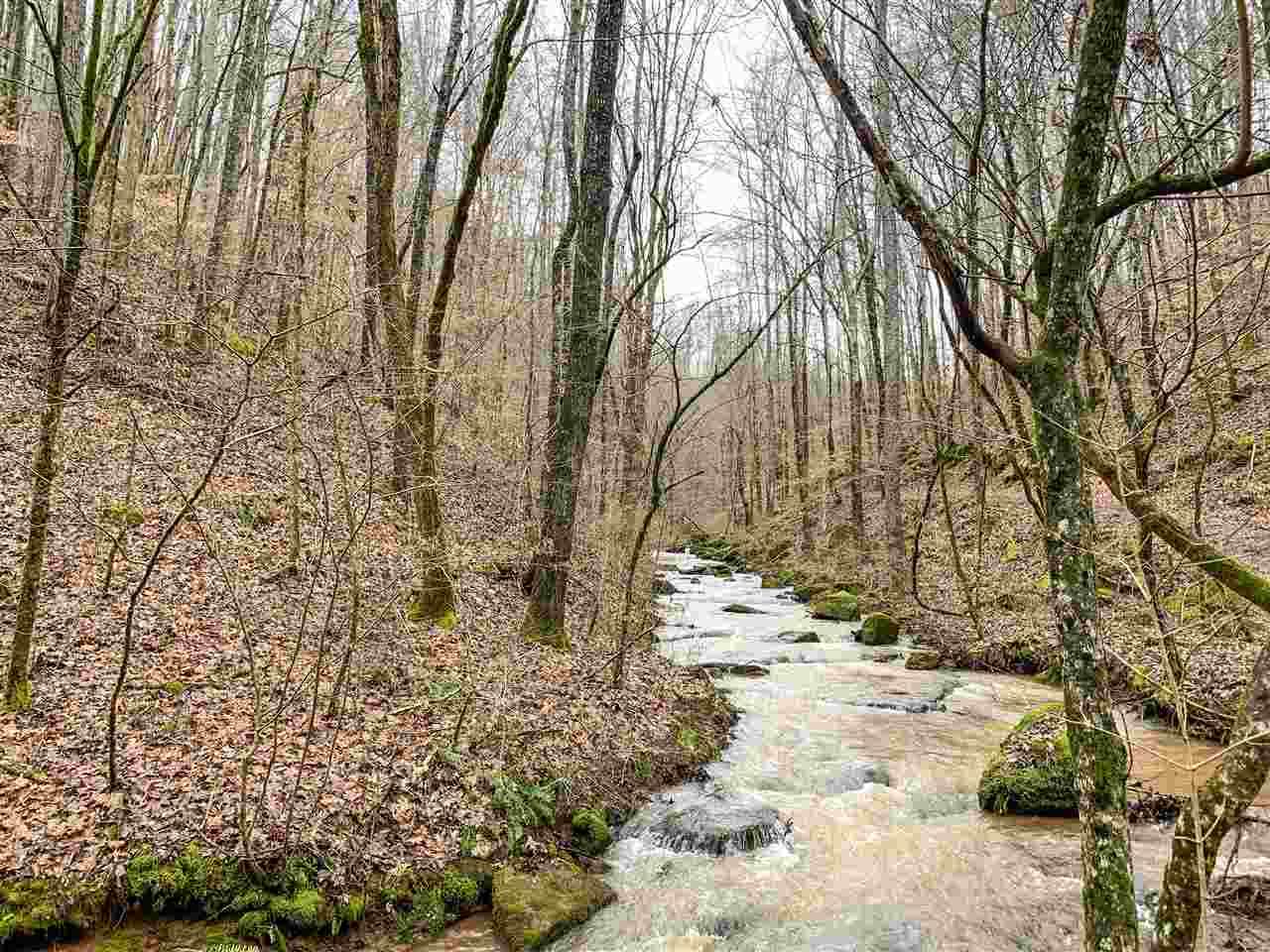0 County Road 470 - Photo 1