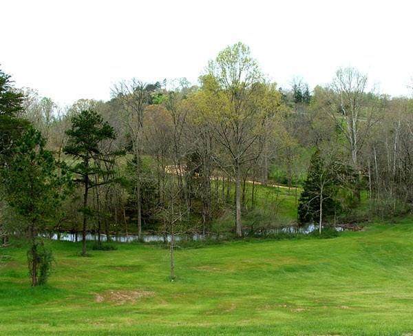 Lot 39 Bear Creek Road - Photo 1