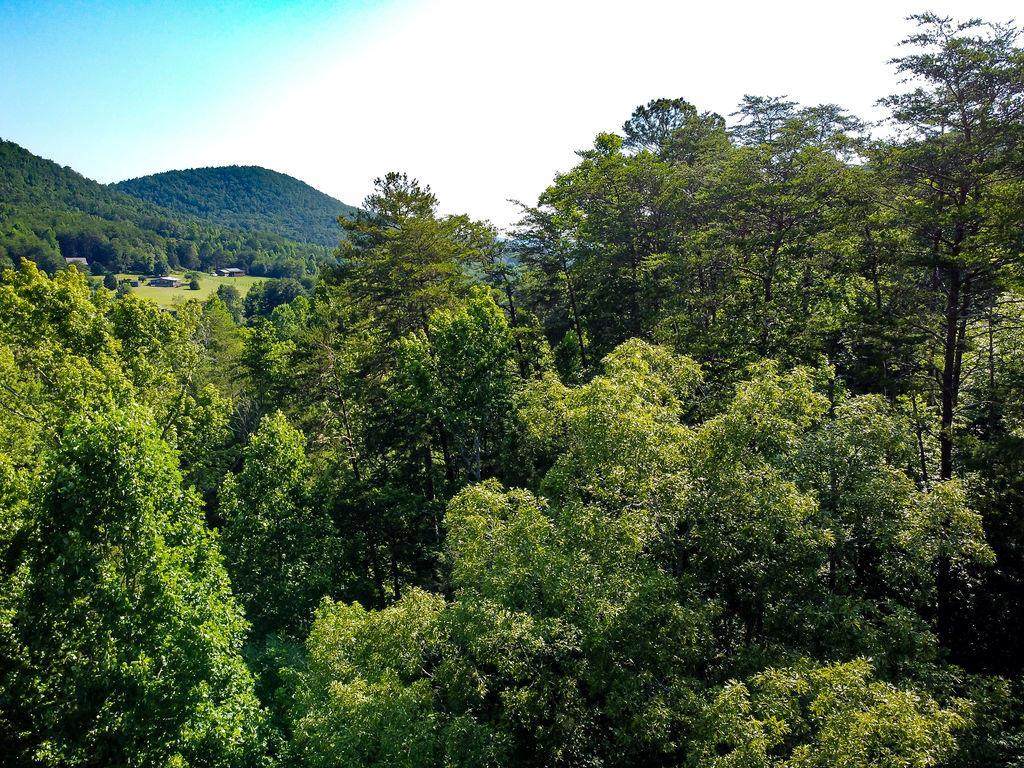 00 Reagan Valley Road - Photo 1