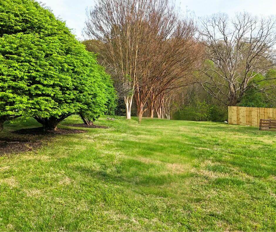 165 Brentwood Place - Photo 1