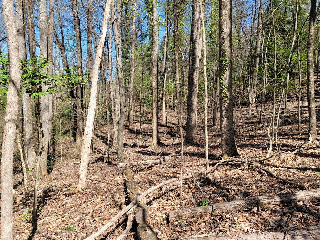 1.26 Acres Scenic Drive - Photo 1