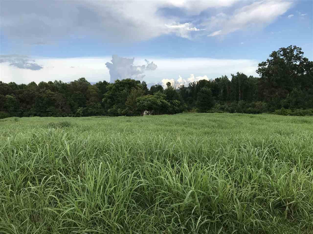 Lot 5 Hunters Trail - Photo 1