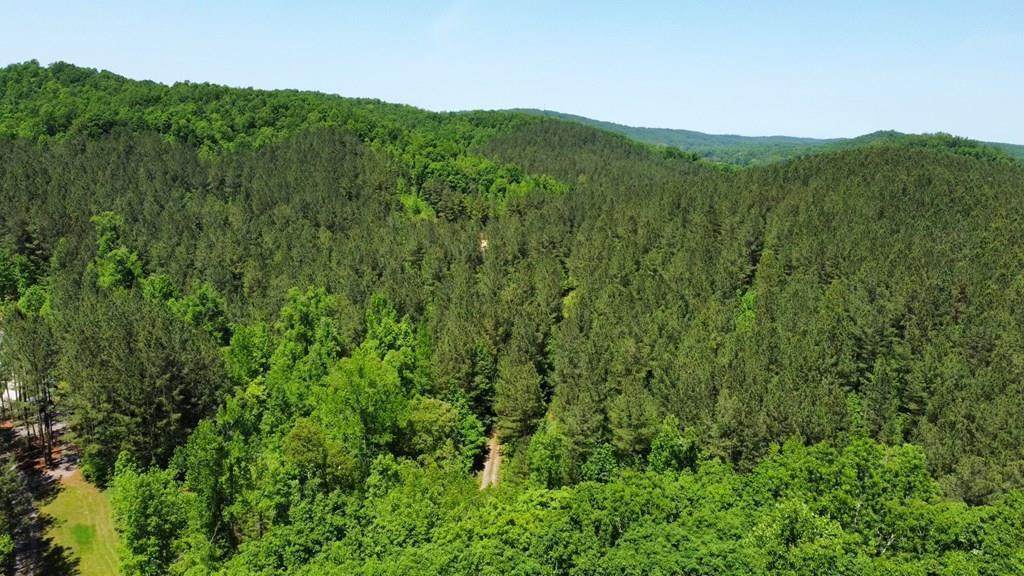 00 County Road 184 - Photo 1