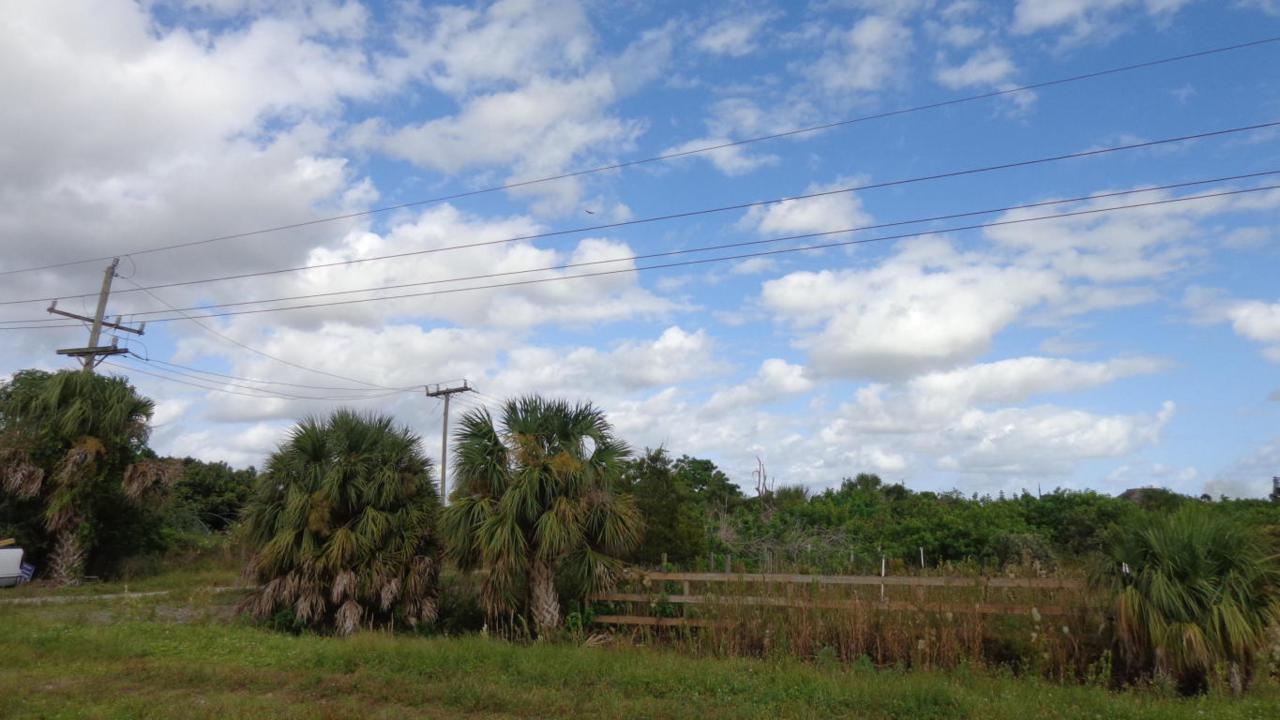 0 Fox Brown Road - Photo 1