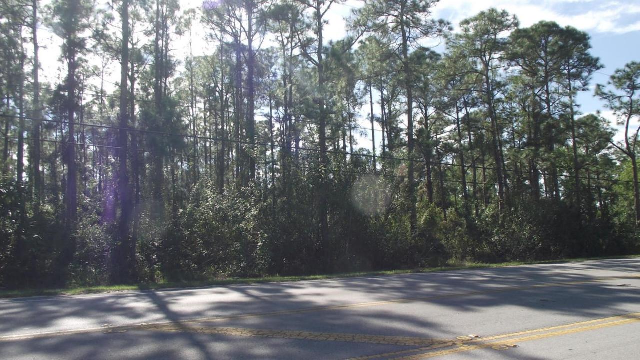 Tbd Northlake Boulevard - Photo 1