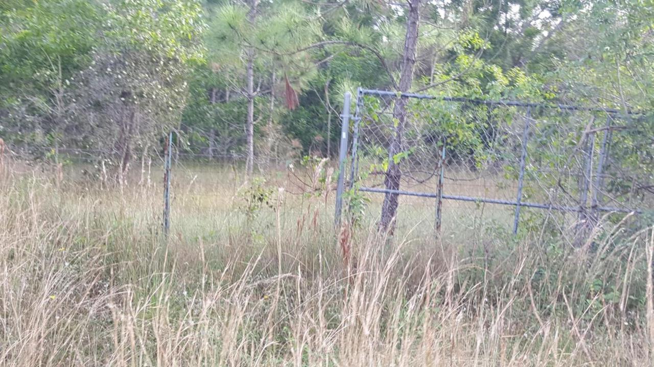 18056 43rd Road - Photo 1