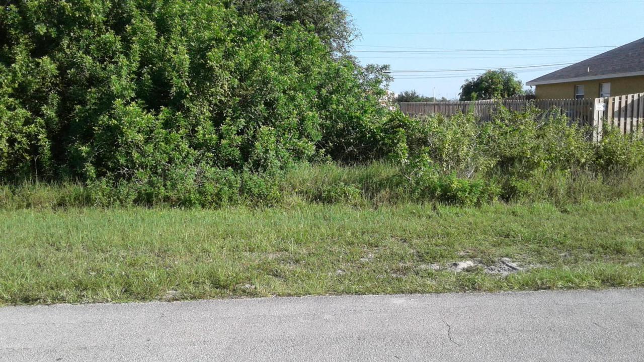533 Halden Ave. Avenue - Photo 1
