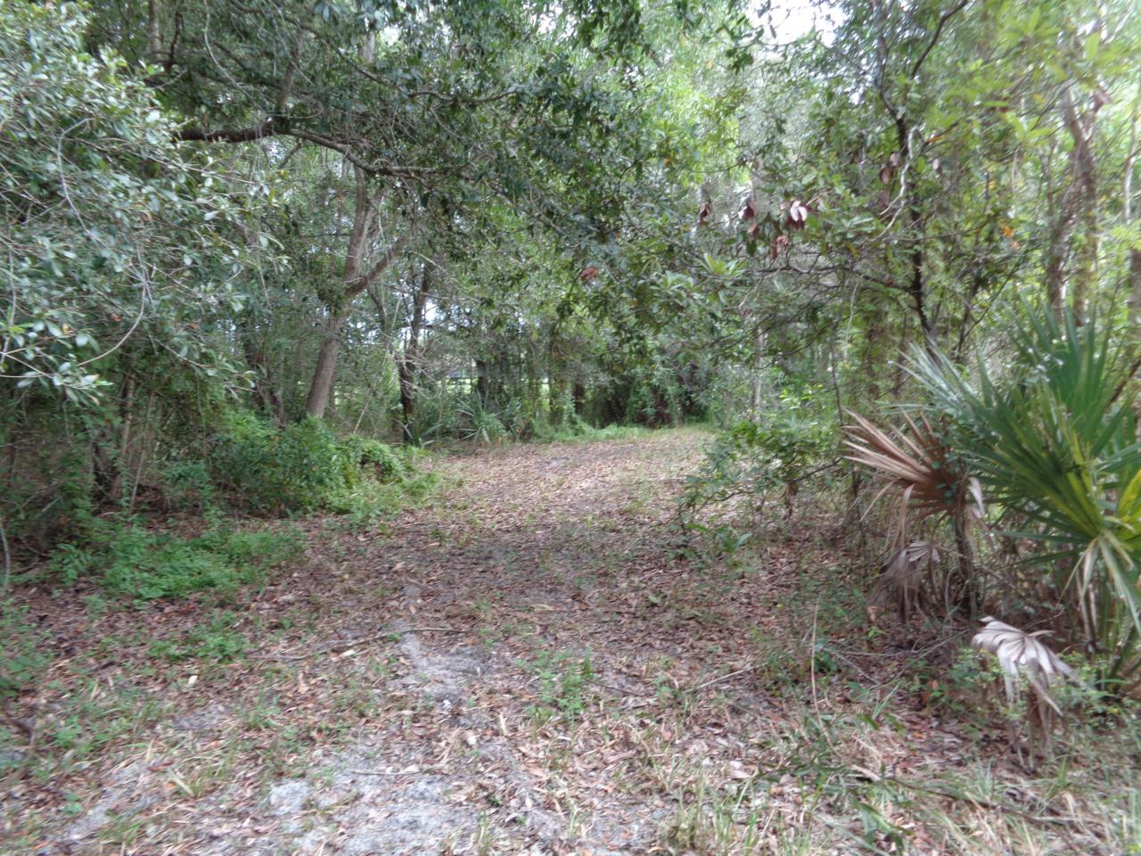 16363 Deer Path Lane - Photo 1